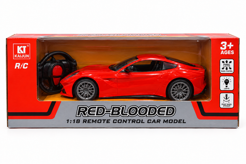 R/C Car - 2021-4