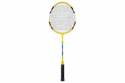 Badminton (ASHAWAY)