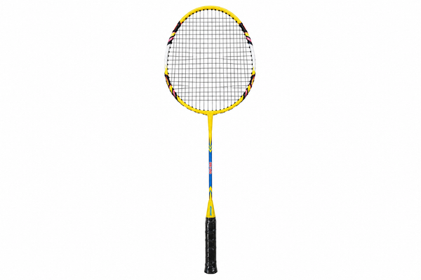 Badminton (ASHAWAY)