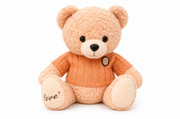 Plush Teddy Bear
