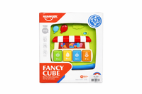 Fancy Cube (Item Code:HE0520)