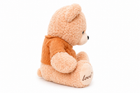 Plush Teddy Bear