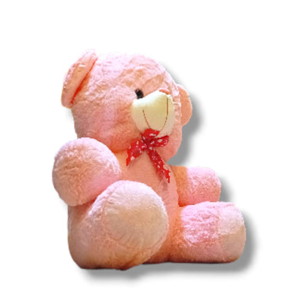 Teddy Bear Large - (Pink)